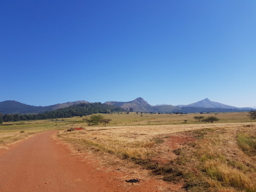 Afrique Du Sud Jours La D Couverte Du Swaziland