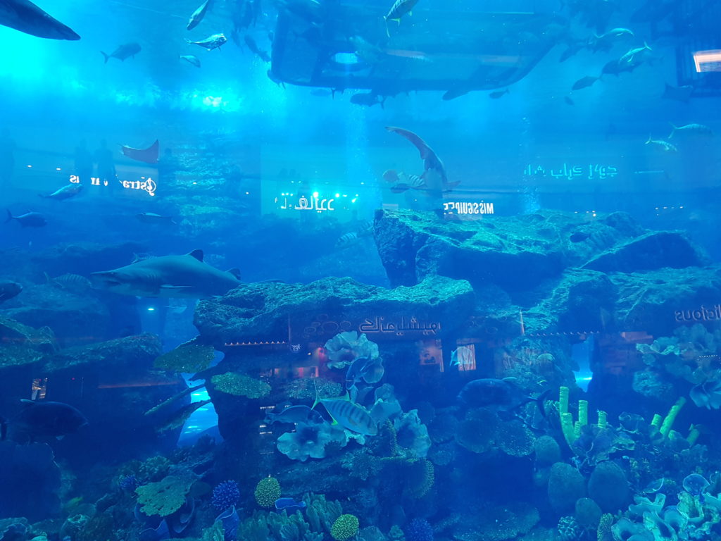 Dubaï mall aquarium
