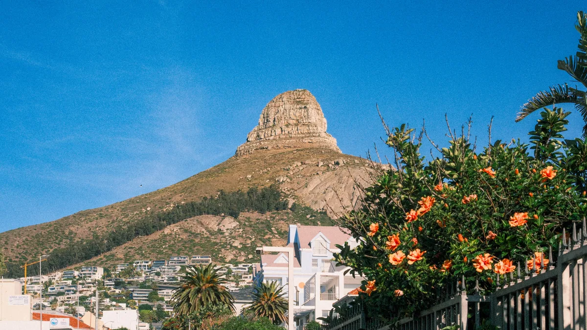 Détail du paysage et de l'étape liés à afrique du sud en famille