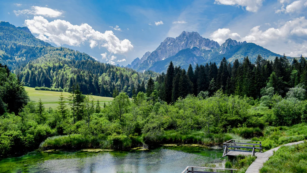 Détail du paysage et de l'étape liés à budget slovénie 10 jours
