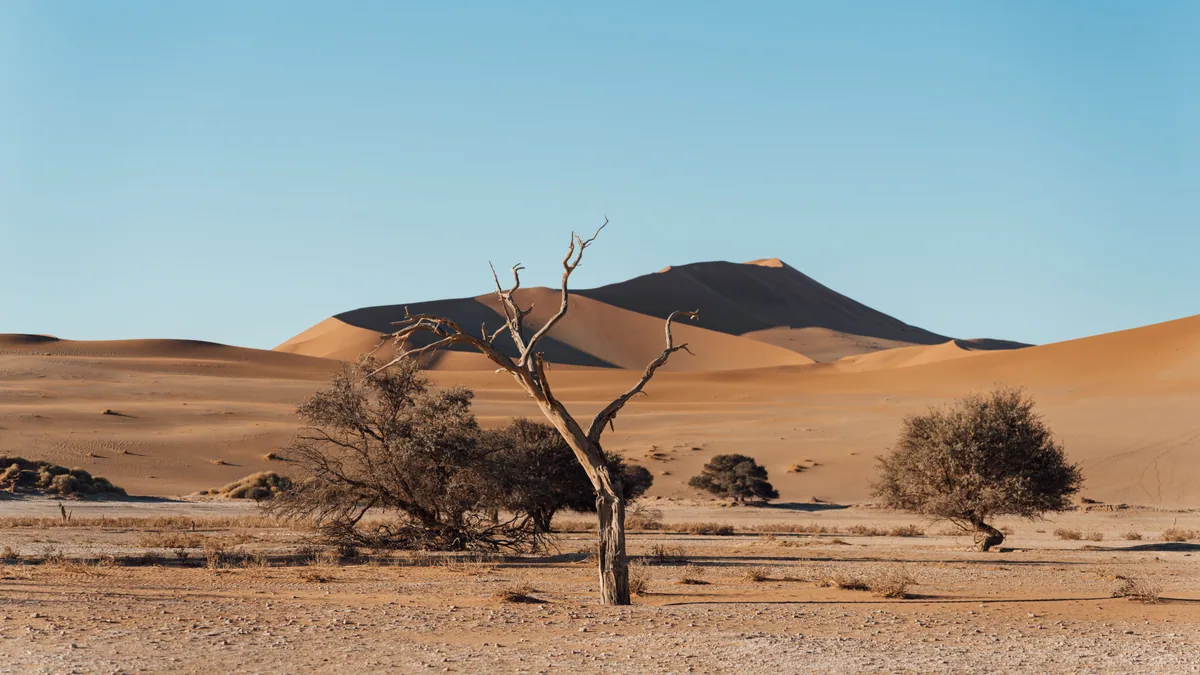 Détail du paysage et de l'étape liés à budget voyage namibie
