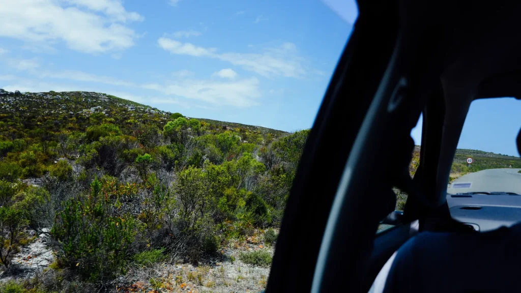 Paysage de voyage associé à conduire en afrique du sud