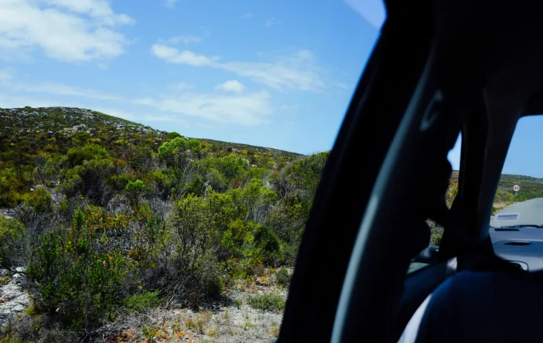 Paysage de voyage associé à conduire en afrique du sud