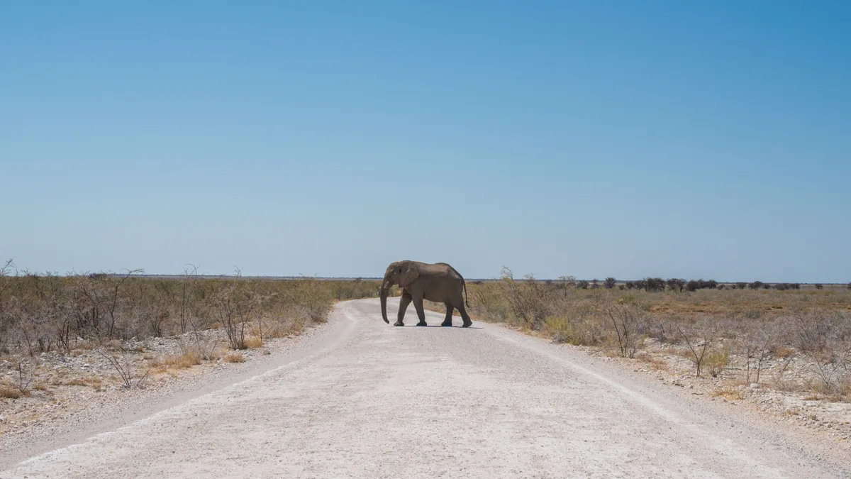 Détail du paysage et de l'étape liés à etosha en famille