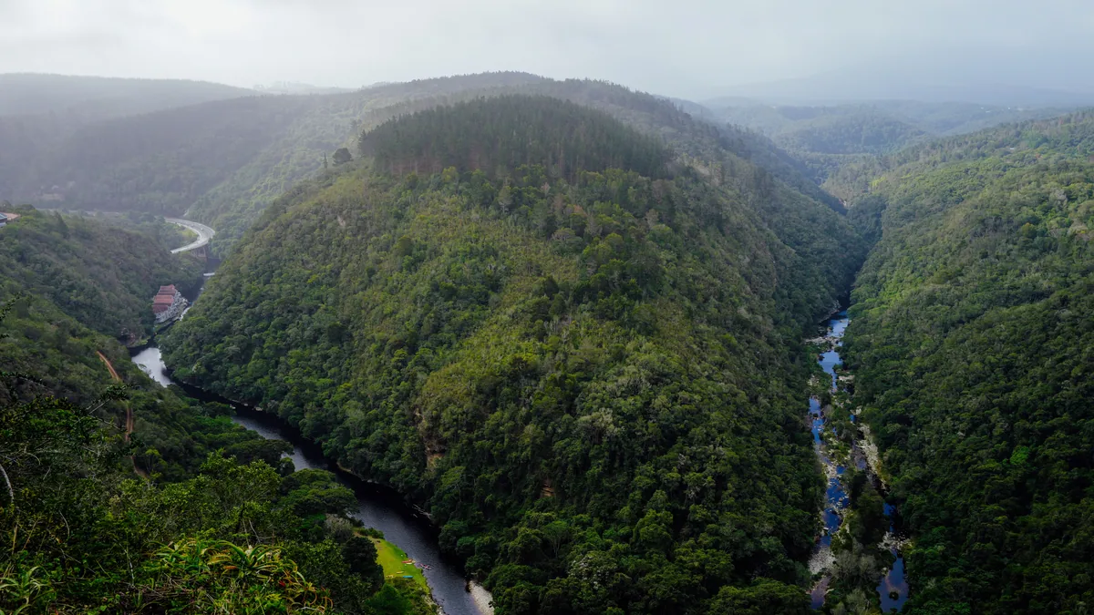 Gorge boisée traversée par une rivière en Afrique du Sud