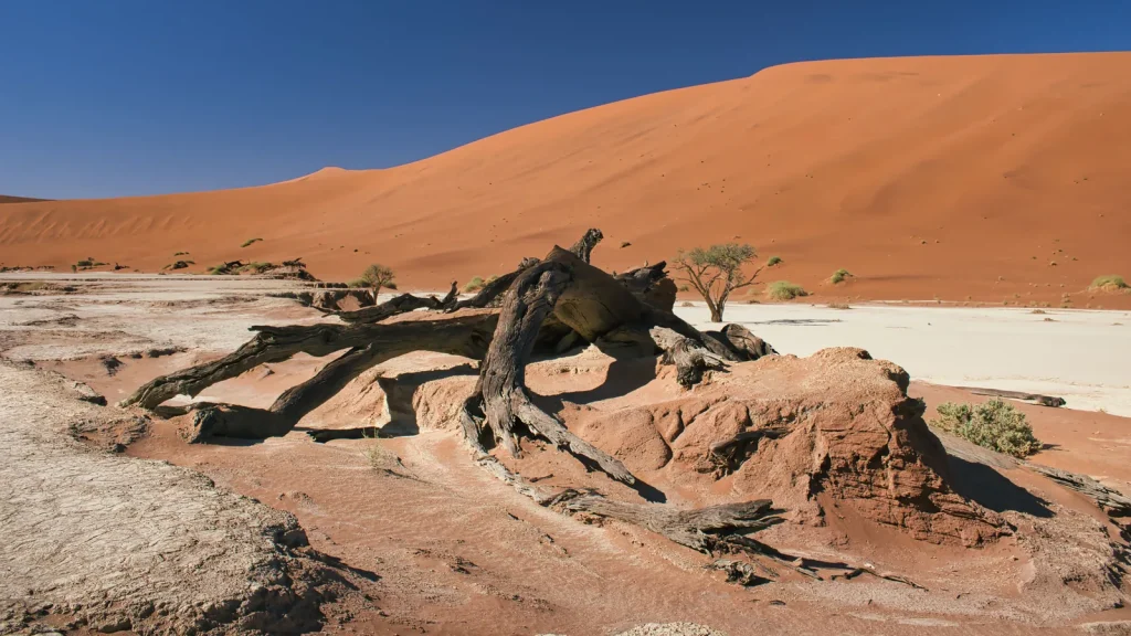 Paysage de voyage associé à namibie avec enfants
