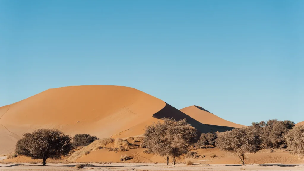 Paysage de voyage associé à quand partir namibie famille