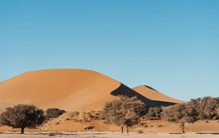 Paysage de voyage associé à quand partir namibie famille