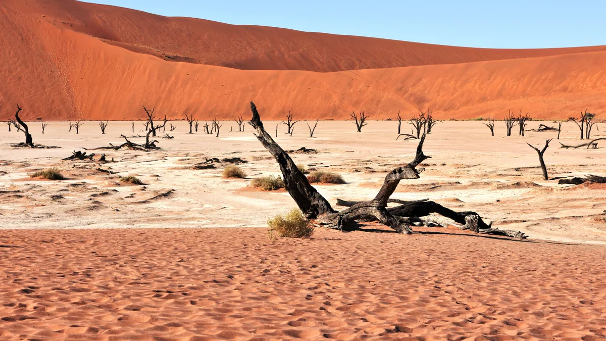 Détail du paysage et de l'étape liés à quand partir namibie famille