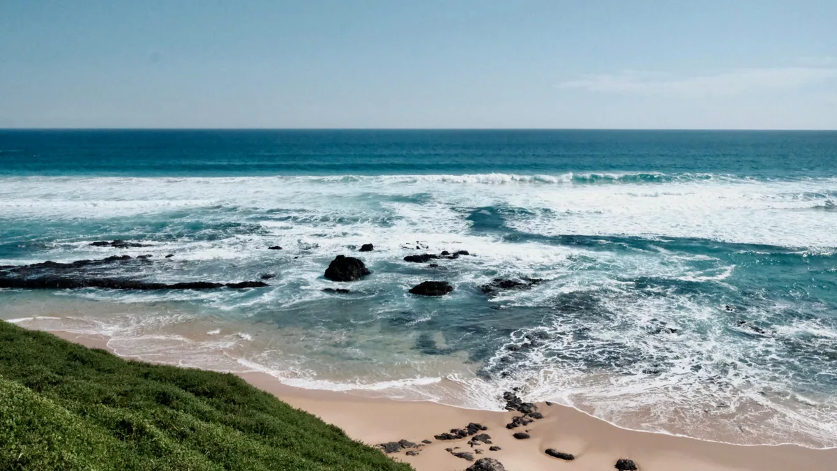 Détail du paysage et de l'étape liés à wild coast afrique du sud