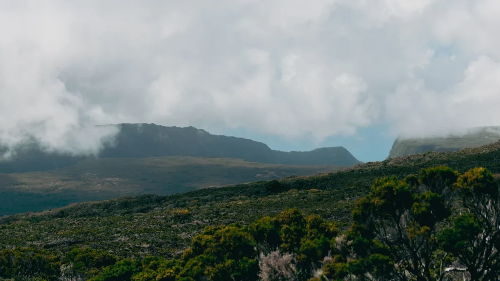 Paysage de voyage associé à 15 jours à la réunion en famille