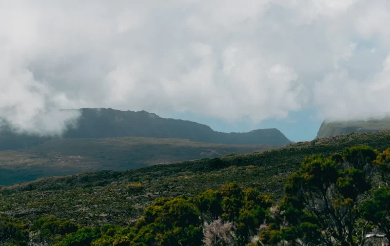 Paysage de voyage associé à 15 jours à la réunion en famille