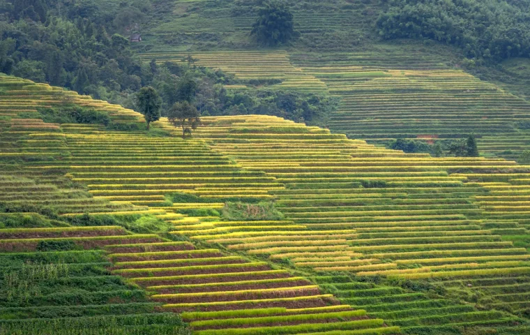 Paysage de voyage associé à longsheng chine