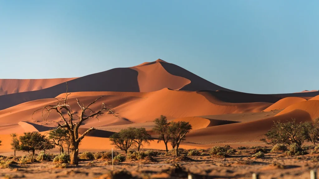 Grandes dunes rouges du désert du Namib