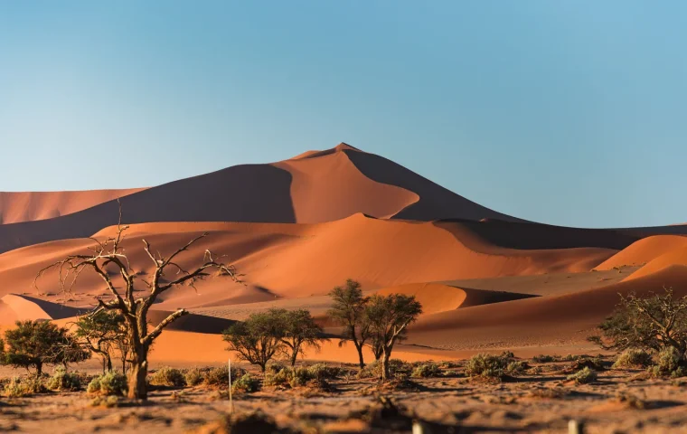 Grandes dunes rouges du désert du Namib