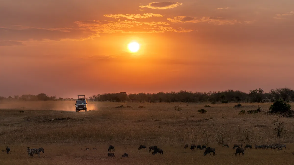 Véhicule de safari et animaux dans la savane au coucher du soleil