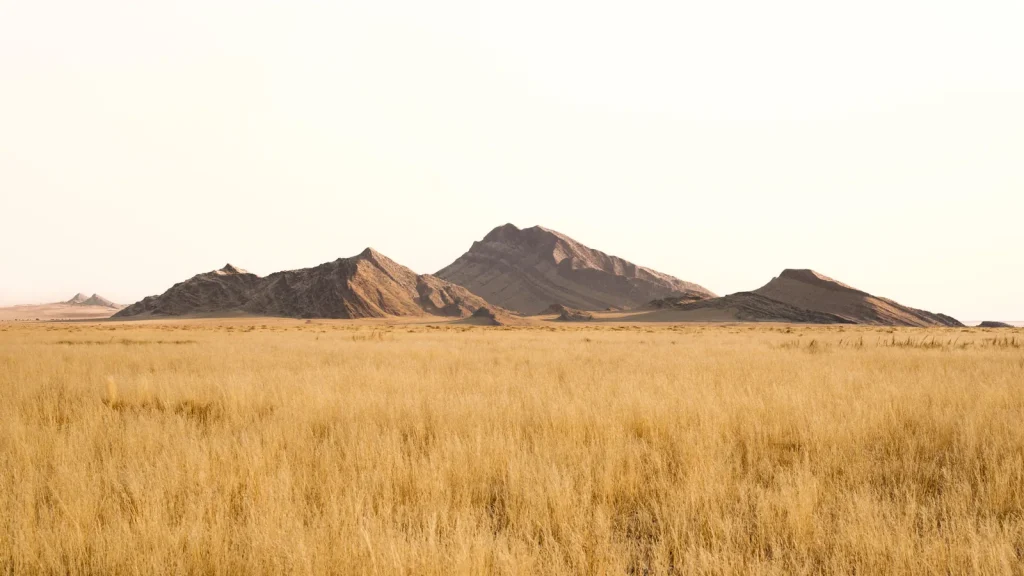 Paysage de voyage associé à safari namibie en famille