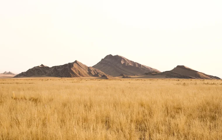 Paysage de voyage associé à safari namibie en famille