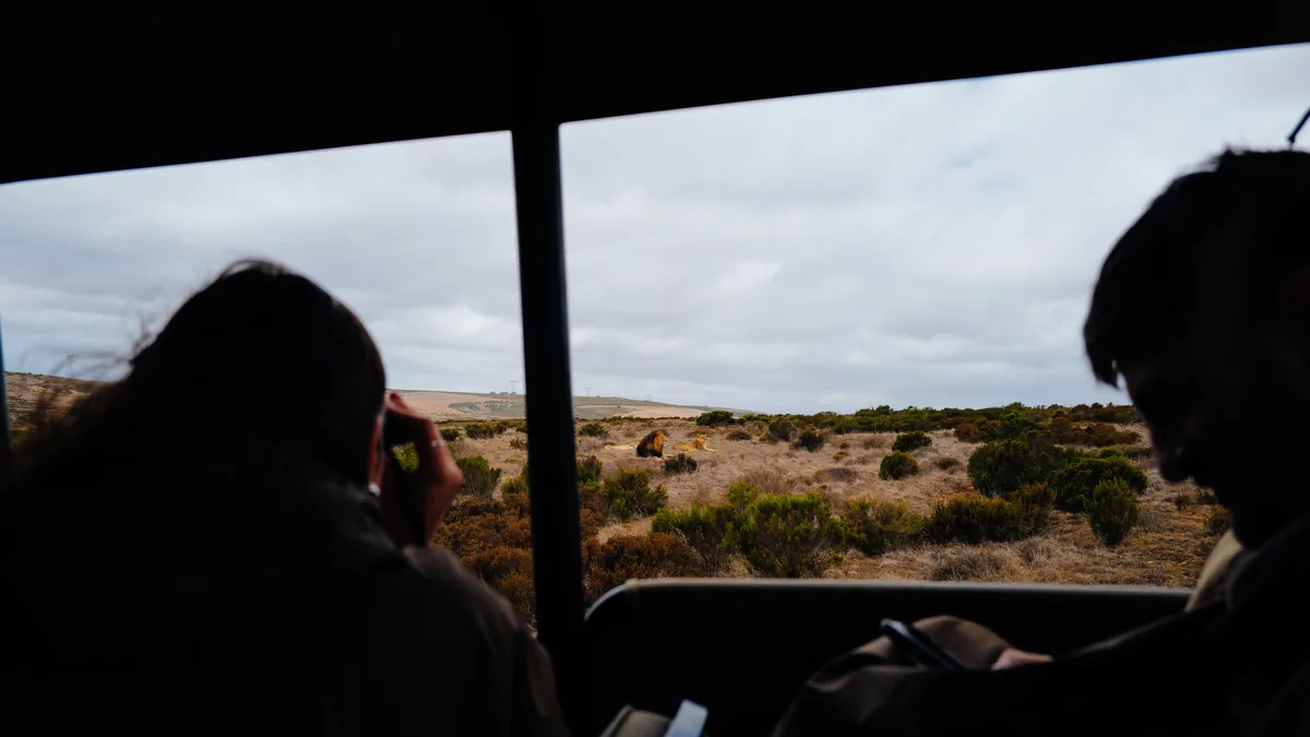 Détail du paysage et de l'étape liés à safari namibie en famille