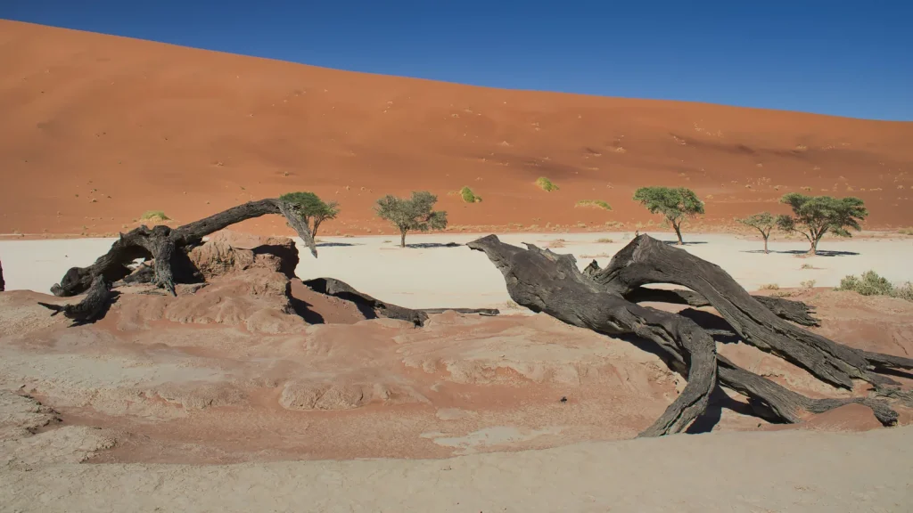 Paysage de voyage associé à sossusvlei avec enfants