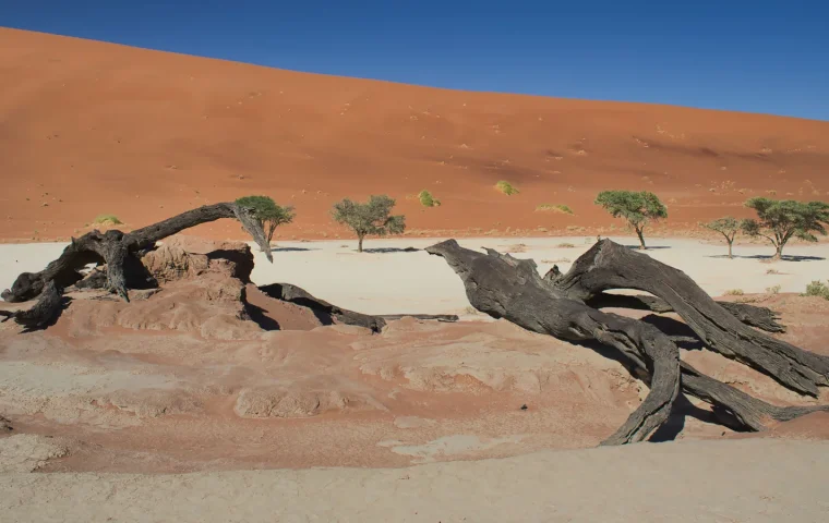 Paysage de voyage associé à sossusvlei avec enfants