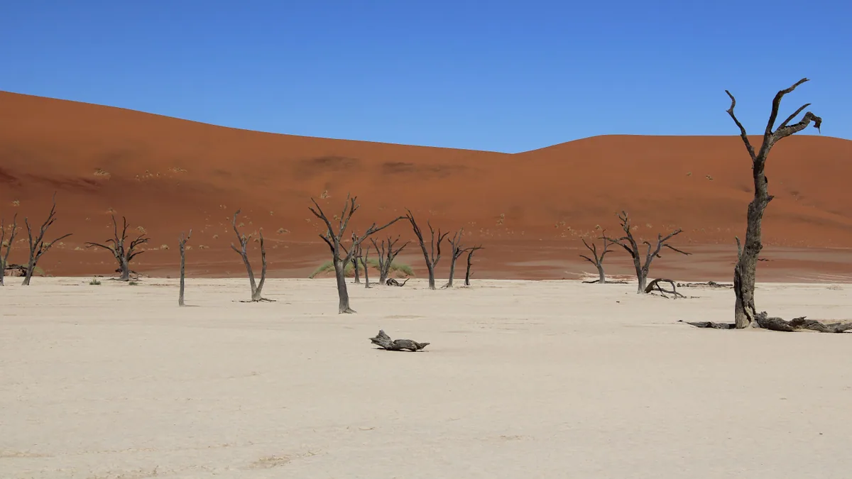 Détail du paysage et de l'étape liés à sossusvlei avec enfants